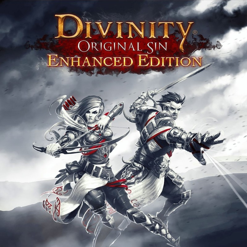 Divinity: Original Sin 2 - Definitive